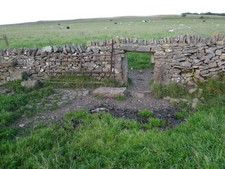 Photo A2 The hole in the wall Wardlow/SK1874 Sheep and dogs can't  c2016