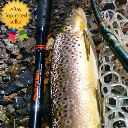 T100 Rod. Telescopic 17.7 Ft. Keiryu Fly Fishing Rod. Perfect for Euro Nymphing, - Picture 2 of 12