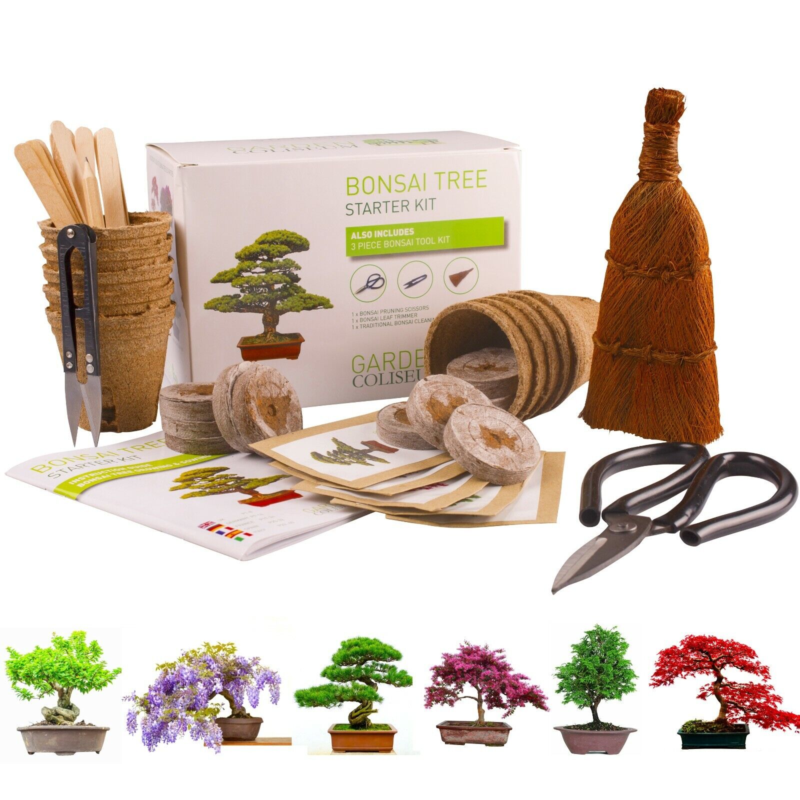 BONSAI TREE KIT for beginners, Grow Your Own - Bonsai Trees, Gardening Gift  Set.