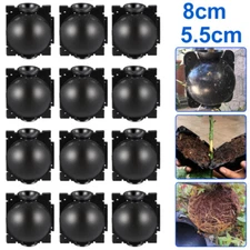Plant High Pressure Box Graft Grafting Rooting Growing Device Propagation Ball