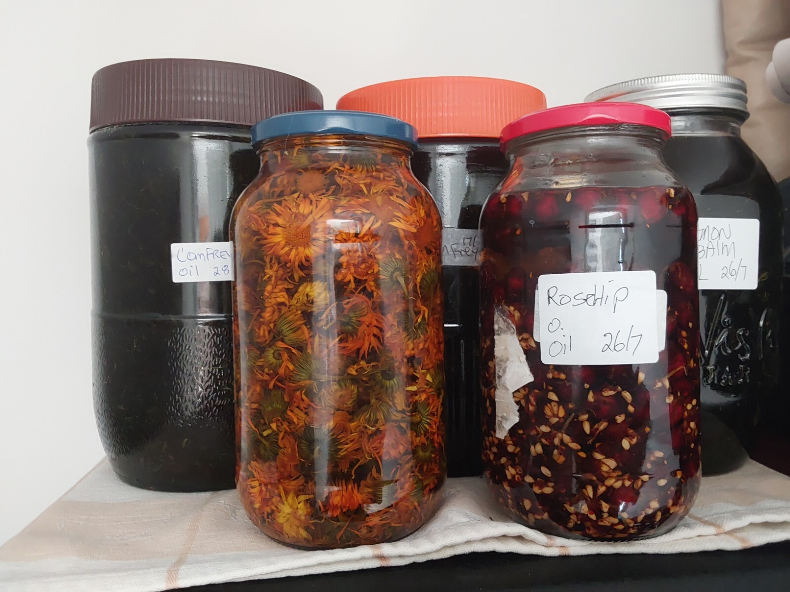 Skin Healing Ointment, Balm. Nettle, Cleavers, Rosehips, Lavender & Red