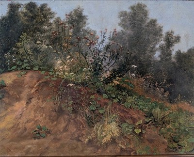 Josef Feid, Distel am Abhang, Öl auf Papier, signiert,  1850, Prunkrahmen, Wiese