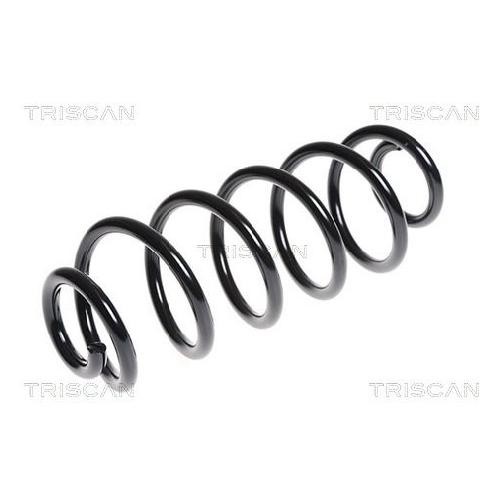 Fahrwerksfeder Hinten FüR Audi A4 8K 1.8 2.0 2.7 3.0 07 Bis 15 Triscan Neu Cabb-image