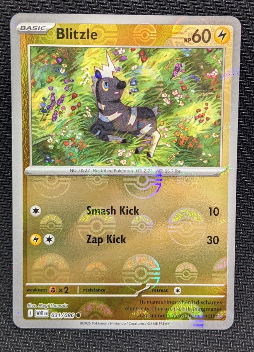 Blitzle (POKE BALL Pattern) 31/086 | NM HOLOFOIL | SV: White Flare