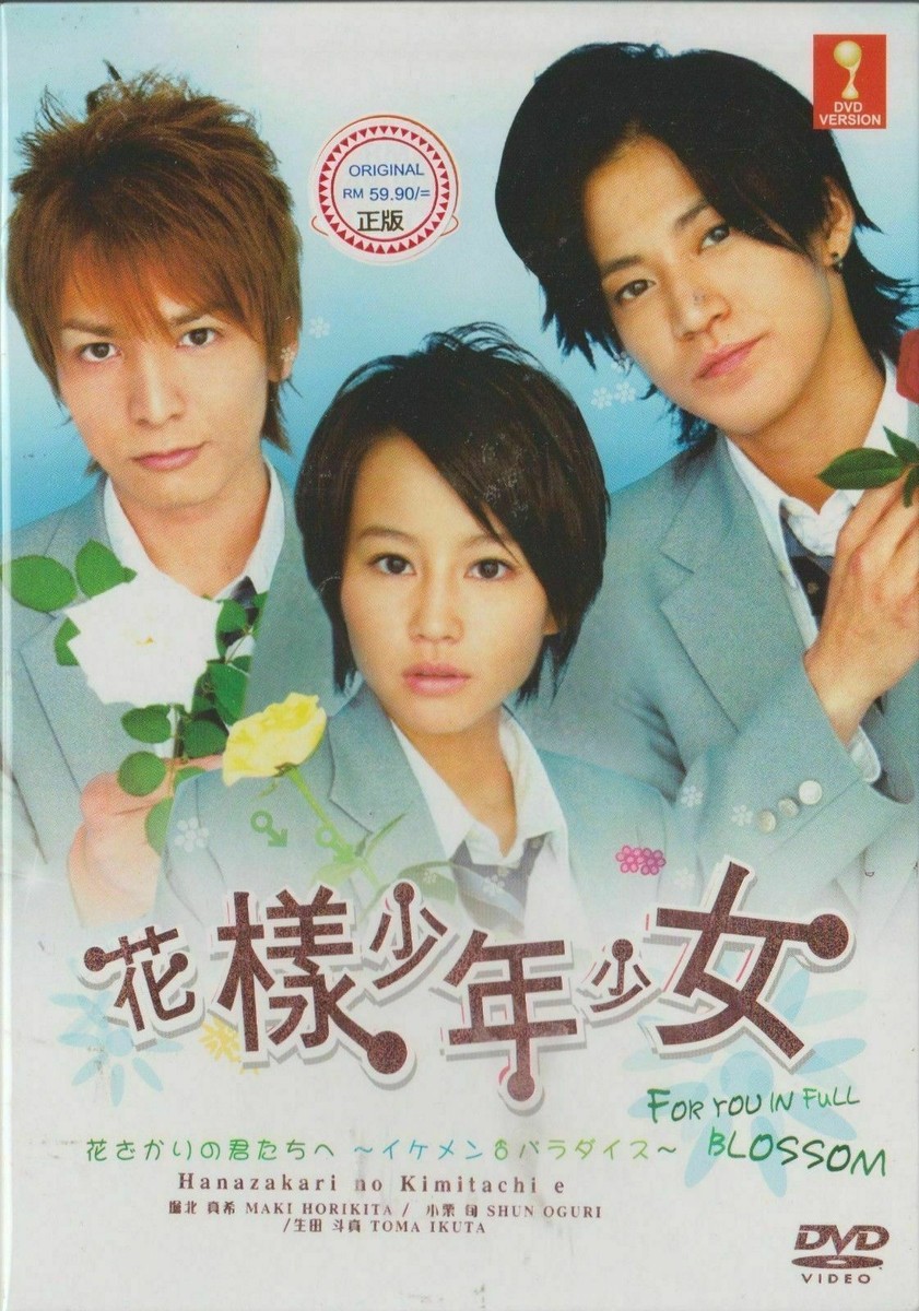Japanese Drama DVD For You in Full Blossom : Ikemen Paradise