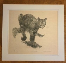 Vintage Block Print Florida Panther Signed By Artist Martha Cawley 1974, 83/750