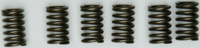 EBC CSK Clutch Spring Kit CSK131