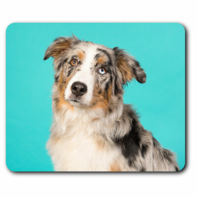 Computer Mouse Mat - Australian Shepherd Dog Puppy Cute Office Gift ...