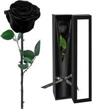 Preserved Flowers for Delivery,Black Rose Bouquets That Last 5 Years,Birthday Fl