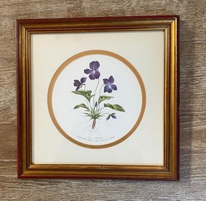 N.S.Pallan Lithograph Watercolor Painting 1986 Common Blue Violet 154/1000 Sing