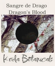 SANGRE DE GRADO / DRAGON'S BLOOD Pure Sap 12ml NATURE'S BANDAID Croton lechleri
