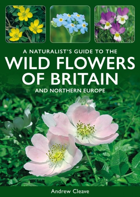 A Naturalists Guide to the Wild Flowers of Britain by Andrew Cleave PAPERBACK - Image 4