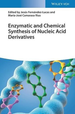 Jesús Fernández Enzymatic and Chemical Synthesis of Nucleic  (Gebundene Ausgabe)
