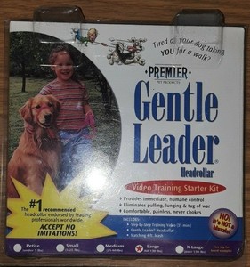 gentle leader headcollar video