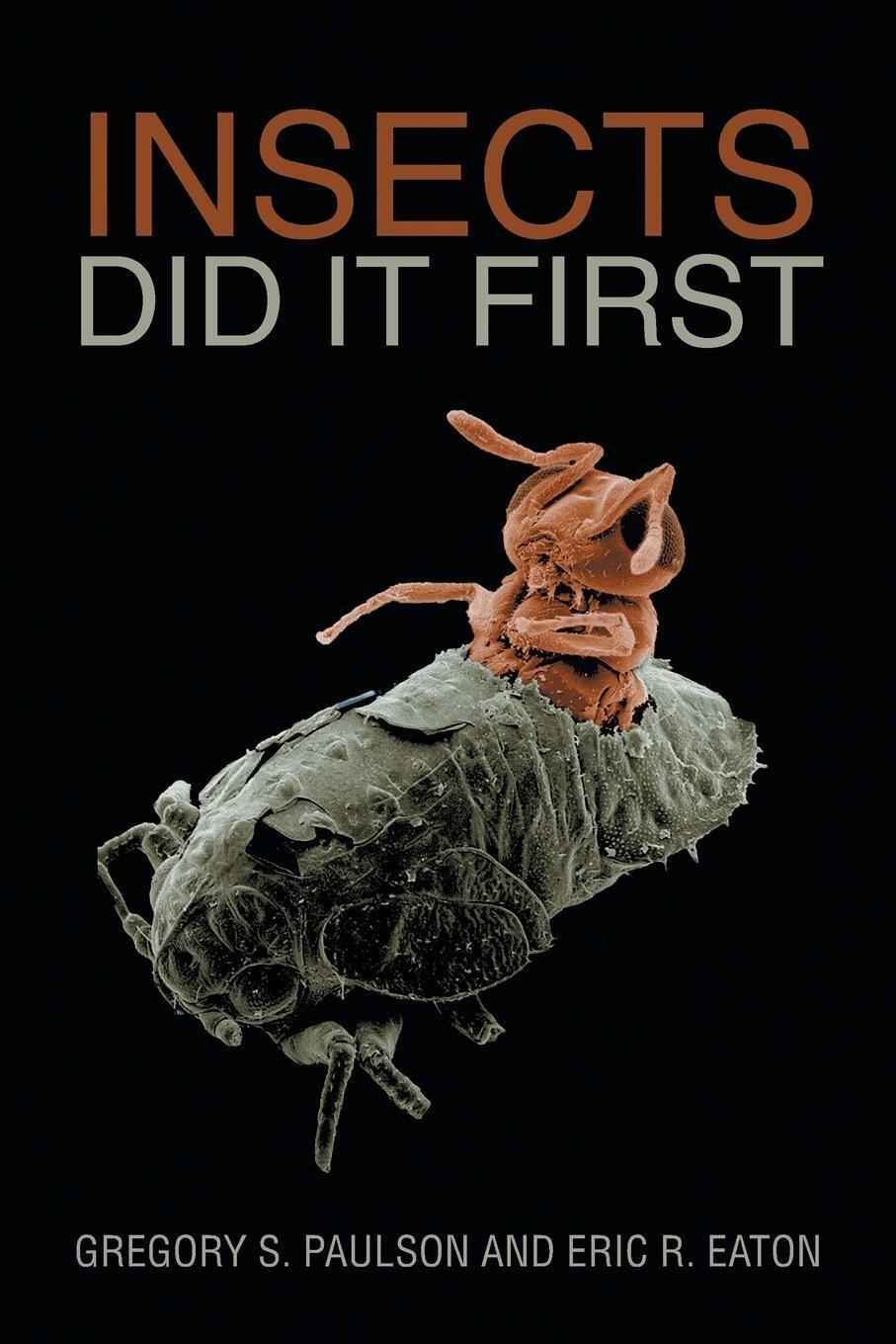 Thumbnail - Insects Did It First Gregory S. Paulson (u. A.) Taschenbuch Paperback
