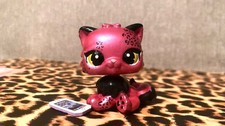Littlest Pet Shop Custom OOAK Persian Cat. LPS Persian Cat With Phone Accessory