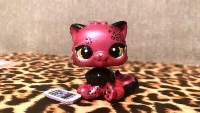 Littlest Pet Shop Custom OOAK Persian Cat. LPS Persian Cat With Phone Accessory
