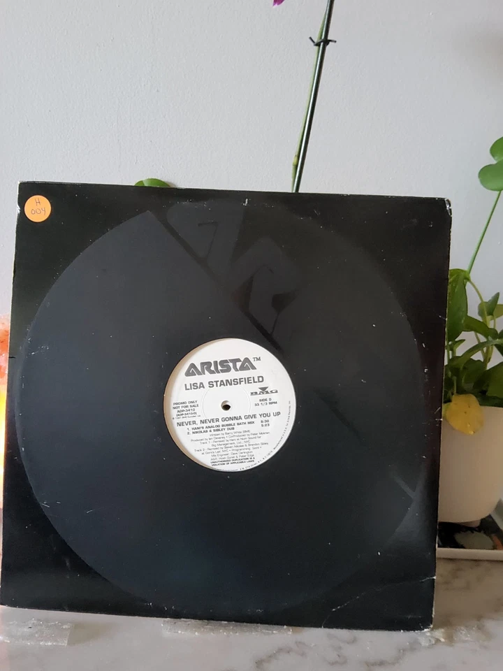 LISA STANSFIELD - "NEVER, NEVER GONNA GIVE YOU UP" / 2X12" w 7 MIXES! / KNUCKLES - Image 2 of 4