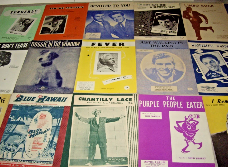 SHEB WOOLEY, BIG BOPPER, ELVIS & MORE *Lot of 18 SHEET MUSIC's -1950's- 60's VGC - image 4 of 4