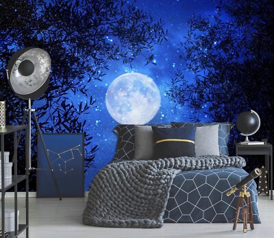 3D Sternenhimmel M4755 Tapete Wandbild Selbstklebend Abnehmbare Aufkleber Romy