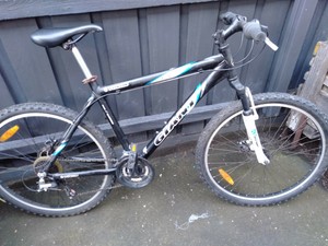 giant 21 speed mountain bike