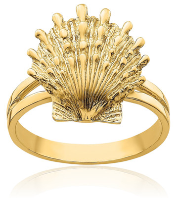 14K massiver Gelbgold Löwentatze Jakobsmuschel Muschel Statement Mode Ring 2,4 mm schmal