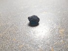 Spinel faceting rough.  med. deep blue color. 3.1 cts. Clean. Tanzania... — photo 3