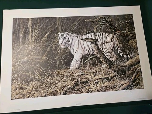 Alan Hunt - Out from Cover - White Tiger - S/N Lithograph - Signed - 114/ 950