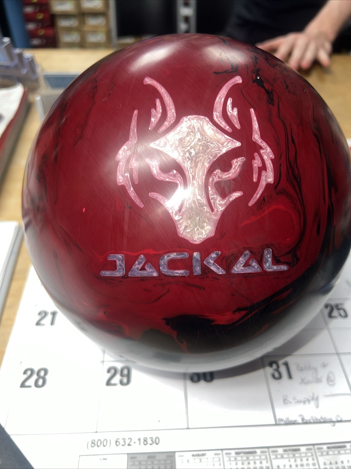 Used 15 Lb MOTIV JACKAL LEGACY Bowling Ball VG Bowling Balls eBay