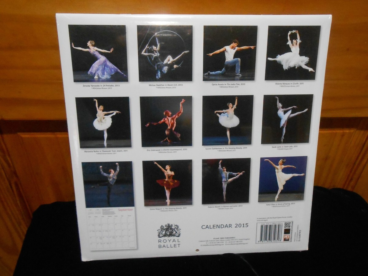 V&A: Ballet Wall Calendar 2026 (Art Calendar): : Flame Tree Studio: 9781835623831