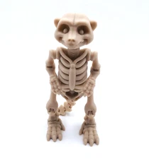 3D Printed Skeleton Meerkat Bone Animal Display Toy Articulated Skeletal Cute
