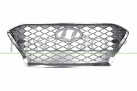 Prasco Frontgrill KüHlergrill Gitter Silber FüR Hyundai Kona OS