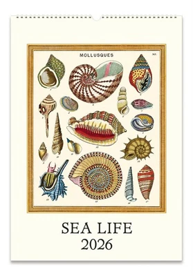 CAVALLINI PAPERS & CO Cavallini - 2026 Wall Calendar - 13 x 19ins - Sea Life/Ocean Flora