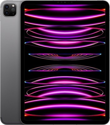 Apple iPad Pro 2022 11 Zoll 128GB Cellular spacegrau - Zustand akzeptabel