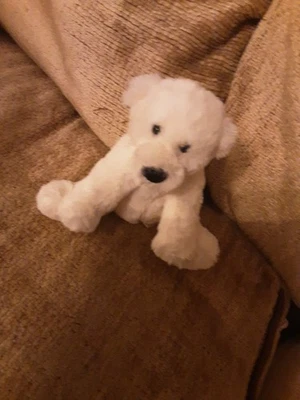 Jellycat Small White Perry Polar Bear ~ Rare & Retired ~ jelly8214SH - Image 1 of 4