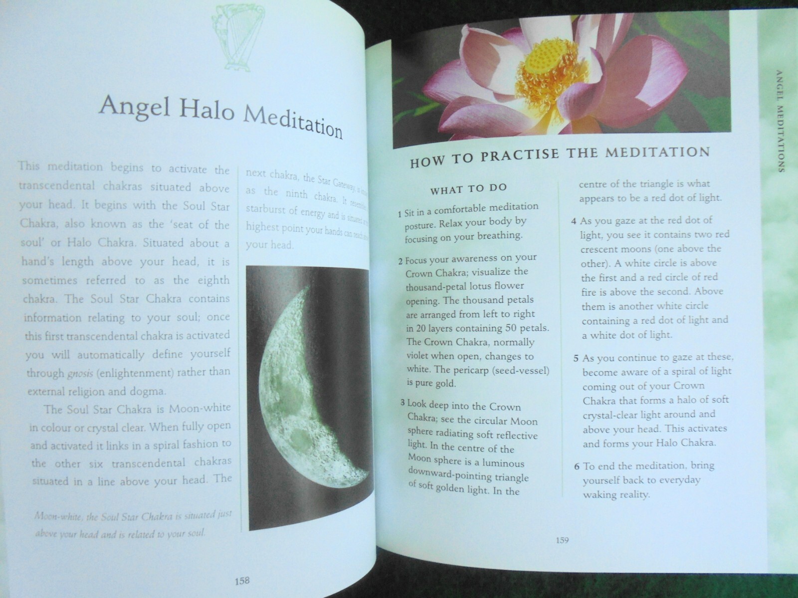 THE ANGEL BIBLE HAZEL RAVEN eBay