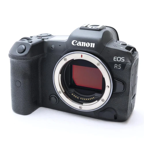 Canon EOS R5 45MP Mirrorless Digital Camera Body #101
