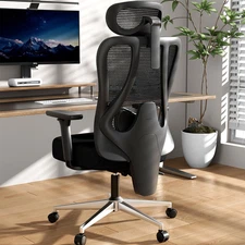 P3 Pro Ergonomic Office Chair with 2D Adjustable Lumbar Support, Office Desk Cha