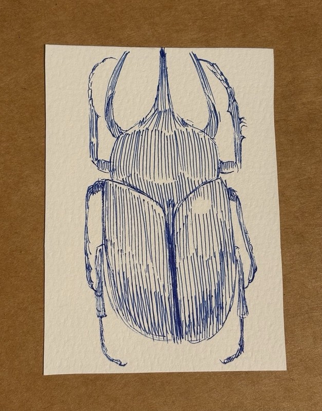 ACEO Original Beetle Pen & Ink Drawing on Paper, Blue Ink Insect Illustration