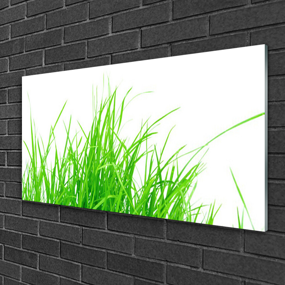 Impression sur verre salon Tulup Herbe 100x50 cm pour ambiance zen naturelle