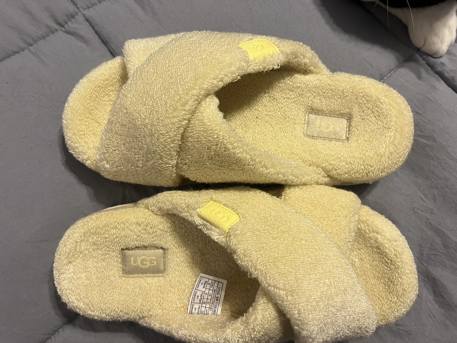 PANTOFOLA D’ORO Slides Ugg sfocati