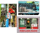 MAINE LOBSTER (3) Mint Continental Chrome Postcards Lot #14