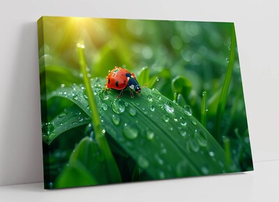 MARIENKÄFER AUF EINEM BLATT - GERAHMTES LEINWANDBILD WANDBILD BILD DRUCK