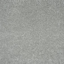Grey Saxony Carpet 10mm Thick Cheap Grey Carpets ONLY £5.99m²  Bedroom Lounge