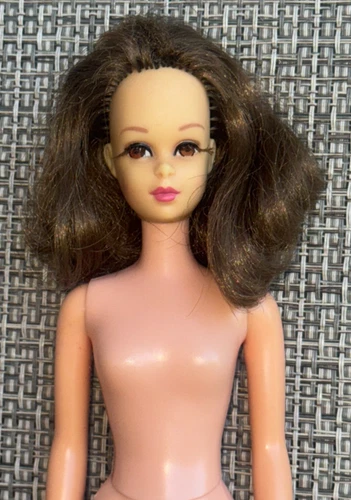 VINTAGE BARBIE TNT FRANCIE BRUNETTE DOLL