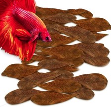 50 Pcs Mini Catappa Indian Almond Leaves for Betta Fish Aquarium, Shrimp, Frogs,