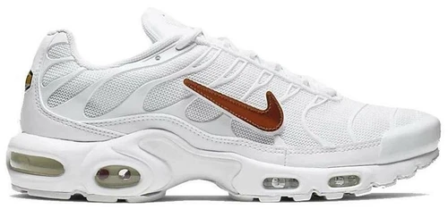 Nike Air Max Plus Removable Swoosh