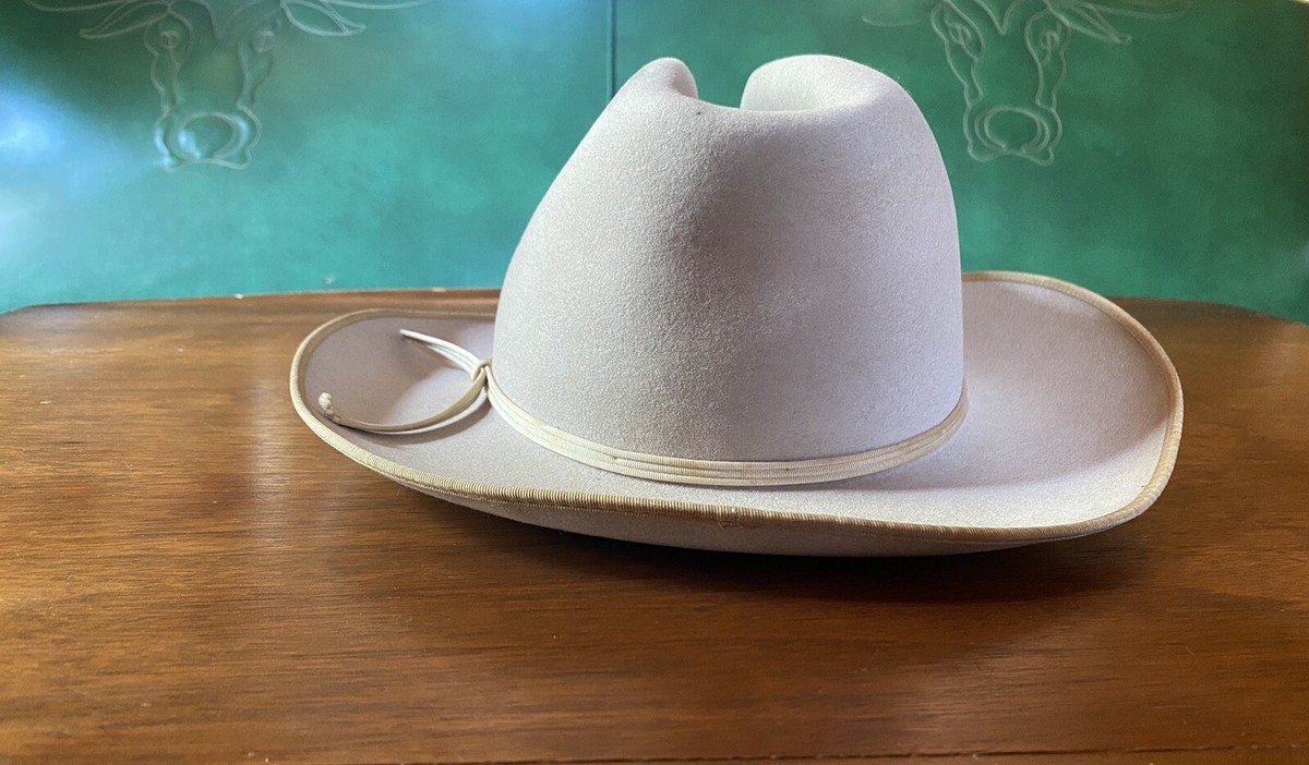 Vintage 1950's Stetson XXX Beaver Hat | eBay