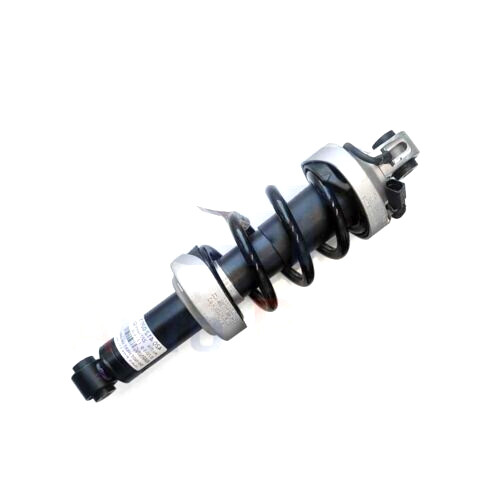 2x Front Shocks Absorbers Struts Magnetic Ride For Audi R8 V8 4.2 FSI 2007-2015
