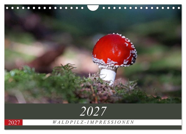 "Calendar 2027 · US Version · Forest Mushroom Impressions (Wall Calendar 2027 12\""-image